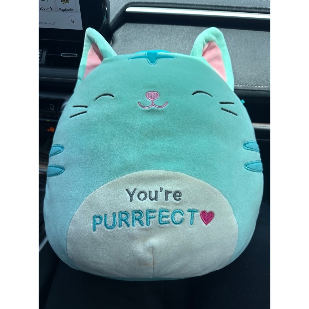 you're purrfect squishmallow